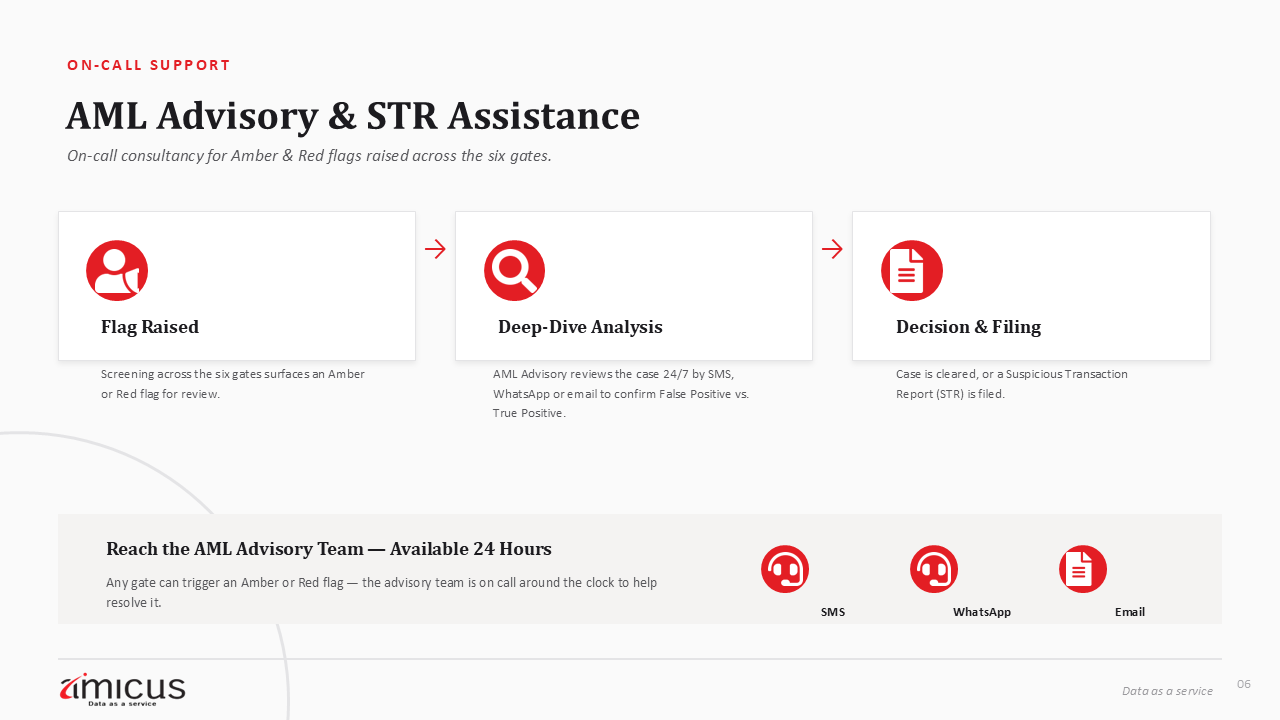 AML Advisory & STR Assistance